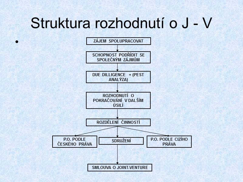 Struktura rozhodnutí o J - V
